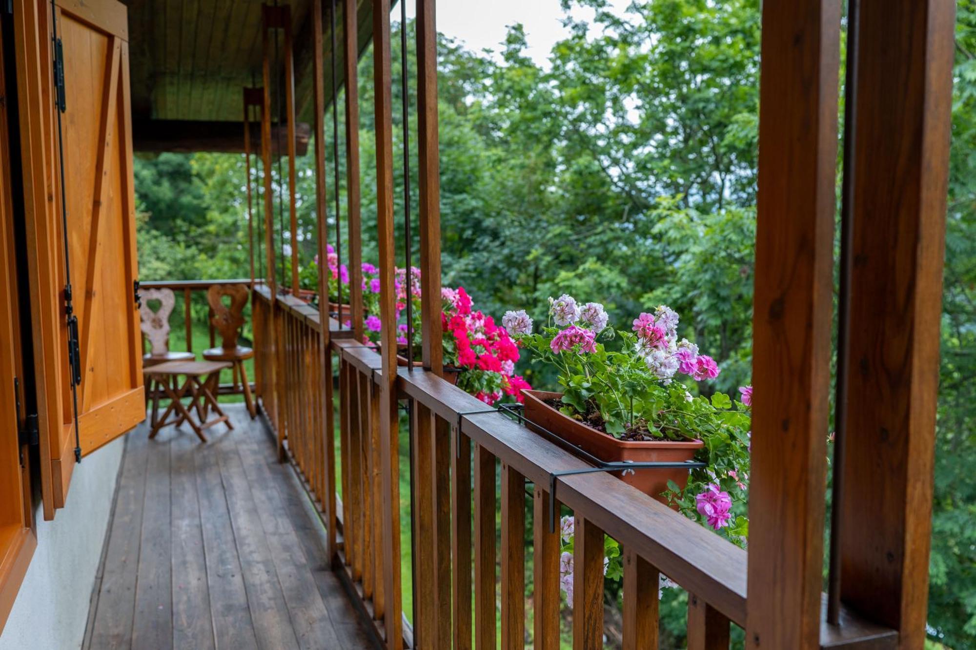 Apartament La Finestra Sul Monviso Crissolo Zewnętrze zdjęcie