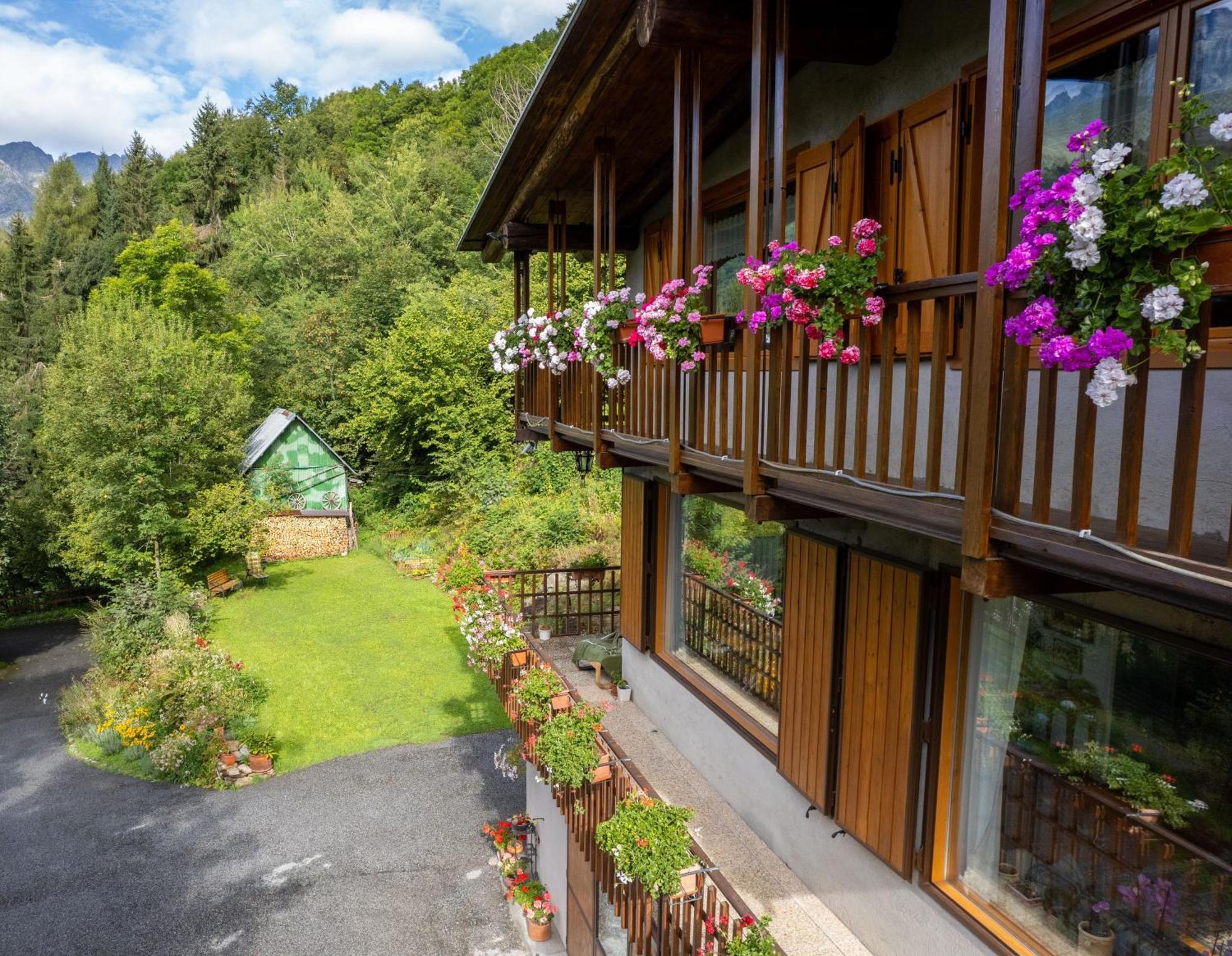 Apartament La Finestra Sul Monviso Crissolo Zewnętrze zdjęcie